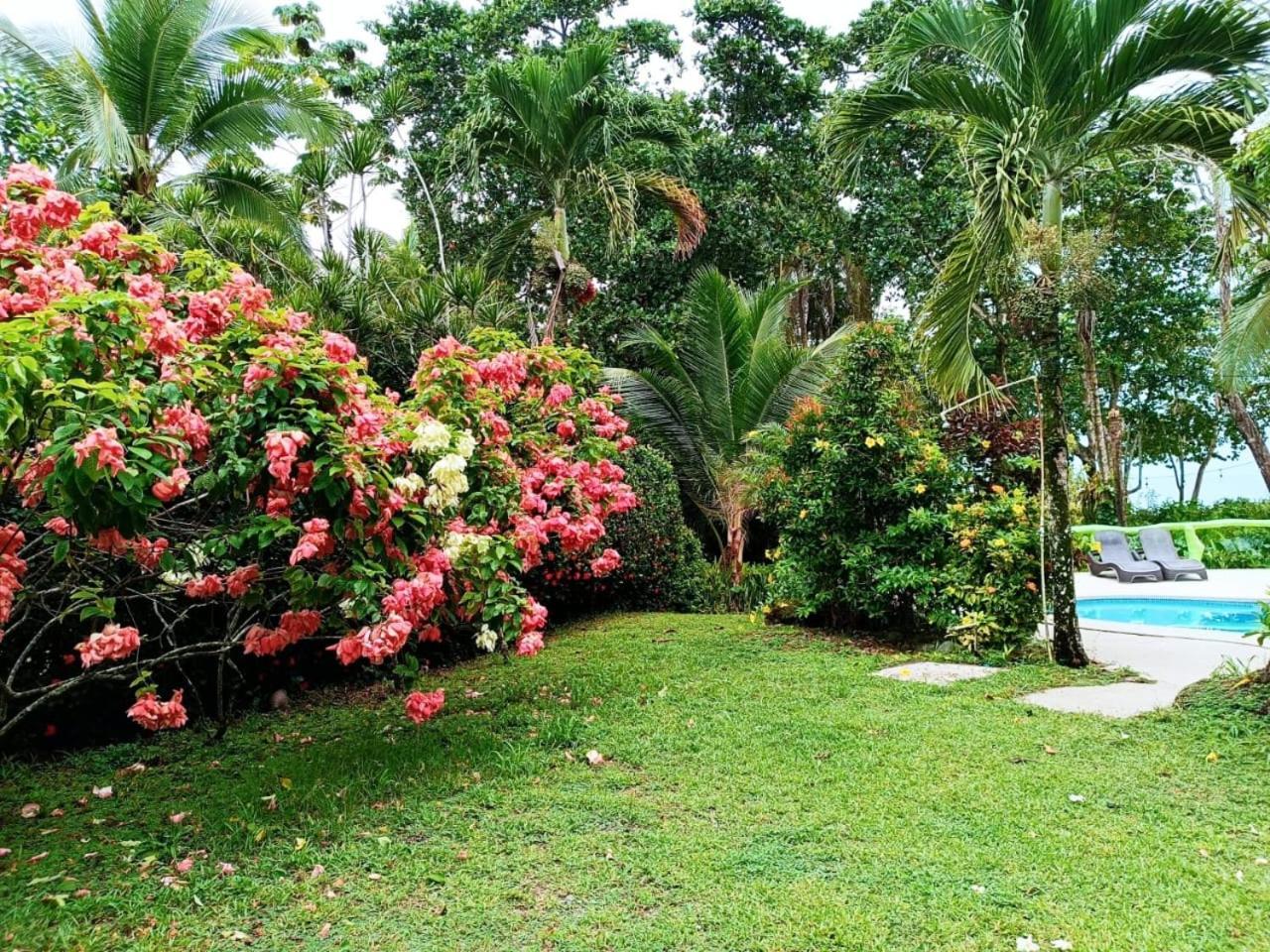 كويتا Hotel La Diosa المظهر الخارجي الصورة